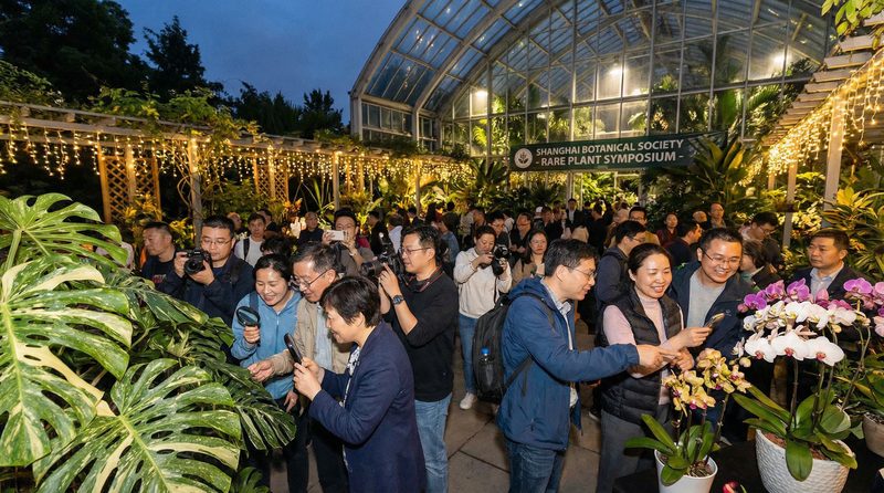 兄妹乱伦植物社区活动